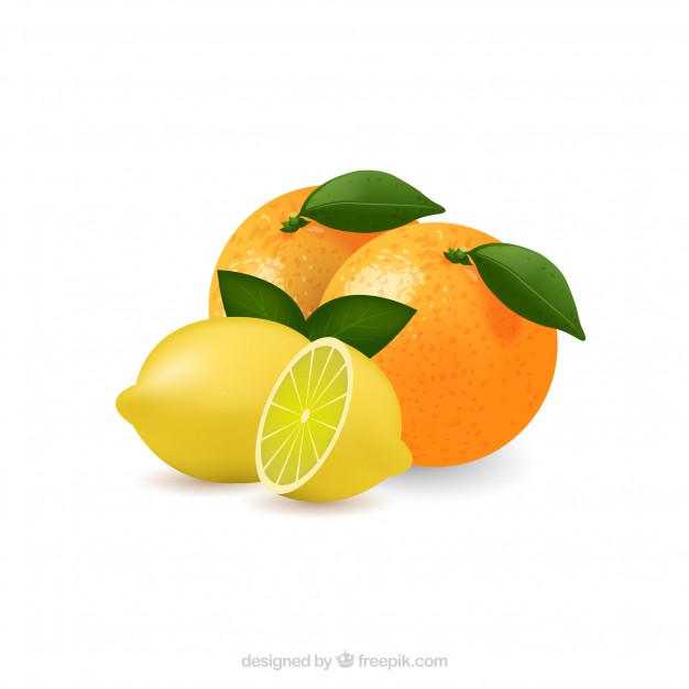 626x626 Lemon And Orange Vector Art Vector Free Download