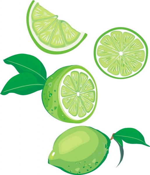 515x600 Lemon Icons Green Design Slices Ornament Free Vector
