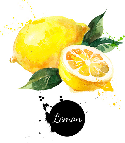412x470 Lemon Watercolor Vector Free Vector In Encapsulated Postscript