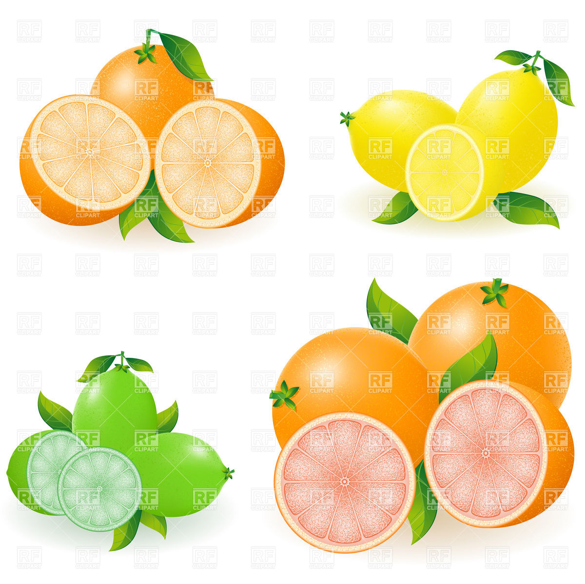 1200x1198 Set Of Citrus Fruits