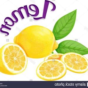 300x300 Vector Art Graphic Illustration Lemon Background Studiogrfx