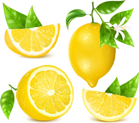 466x414 Yellow Lemon Vector Free Vector In Encapsulated Postscript