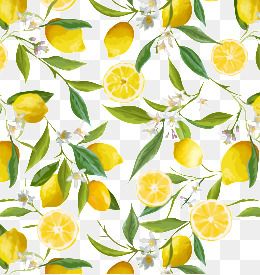 260x275 Fresh Lemon Border, Fresh Lemon, Illustration, Lemon Png