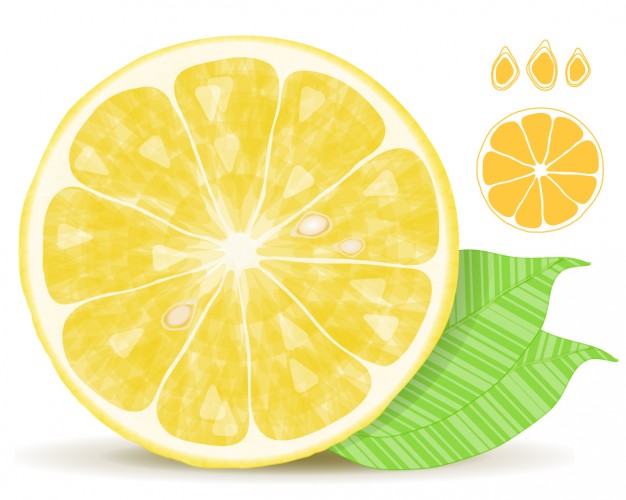 626x500 Fresh Lemon Vector Free Download