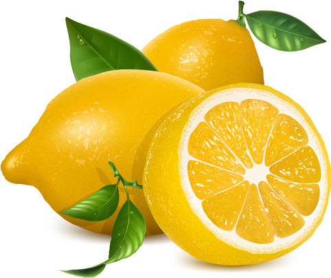 482x405 Fresh Lemon Creative Design Vector Free Vector In Encapsulated