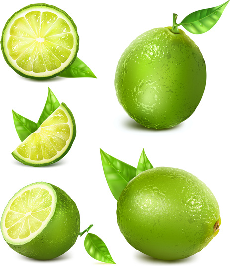 463x536 Green Lemon Vector Free Vector In Encapsulated Postscript