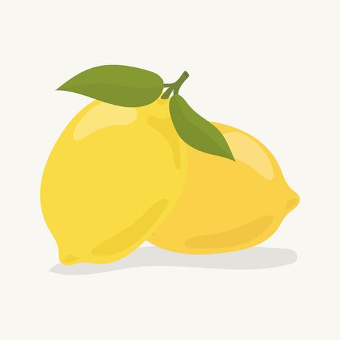 490x490 Hand Drawn Colorful Lemon Illustration