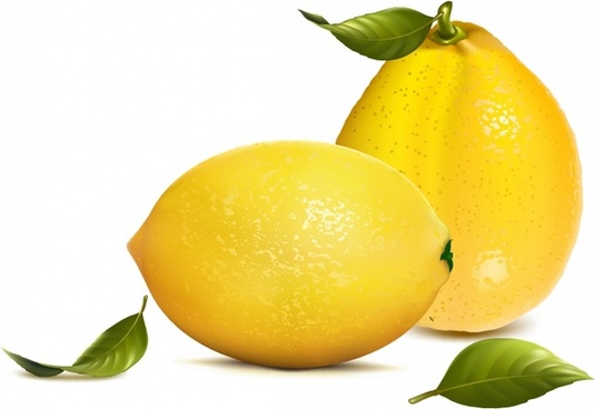 535x368 Lemon Leaf Free Vector Download