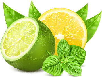 359x269 Lemon Vector Free Free Vector Download