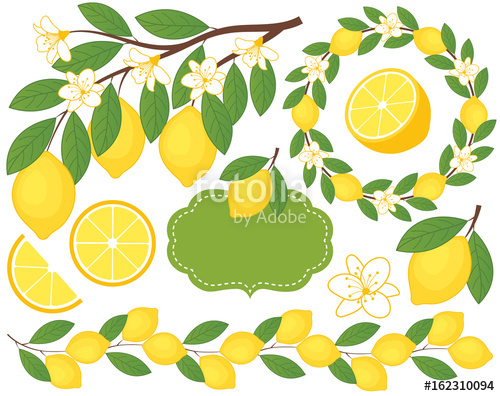 500x396 Vector Set With Lemons Lemon Vector Illustration Stock Image