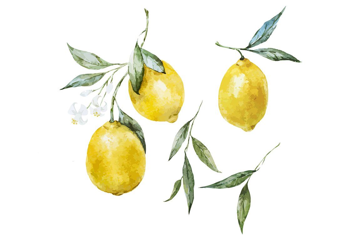 1160x773 Watercolor Lemons Patterns