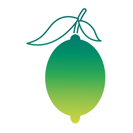 450x450 Fresh Citrus Fruits Whole And Leaves Lemon Vector Illustration