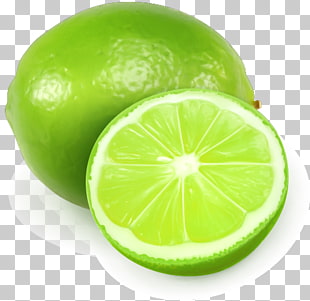 Lemon Vector Free