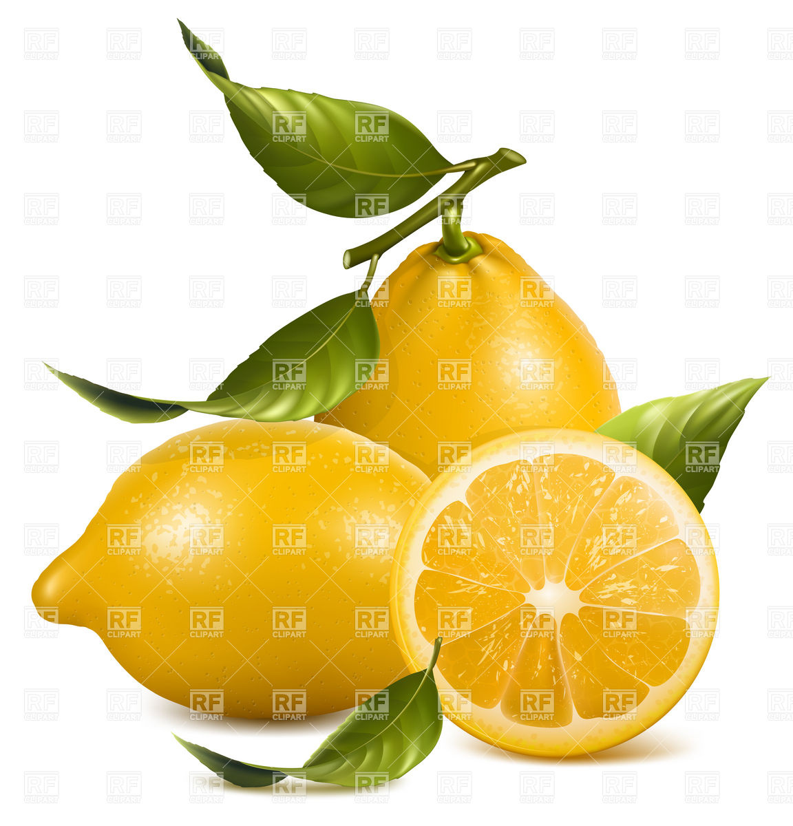1152x1200 Fresh Lemons And Slices With Leaves Vector Image Of Food
