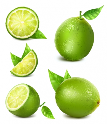 367x425 Green Lemon Vector Free Vectors Ui Download