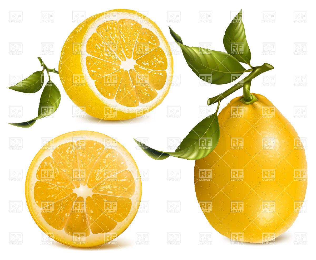 1200x986 Images For Gt Lemon Vector Free Download Fruit To Draw Vector