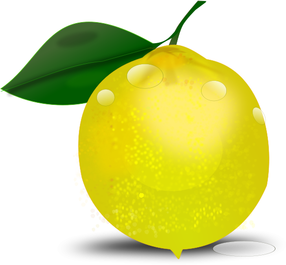 569x528 Lemon Clipart Free
