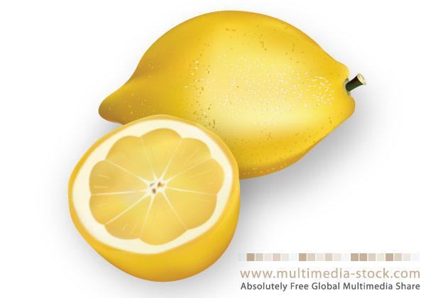 600x420 Lemon Vector Free