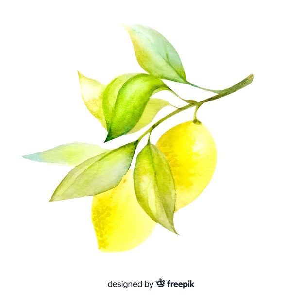 626x626 Lemon Vectors, Photos And Free Download