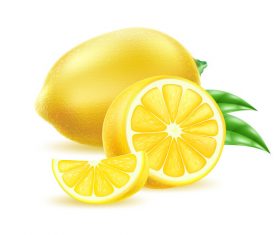 280x235 Lemon Vector