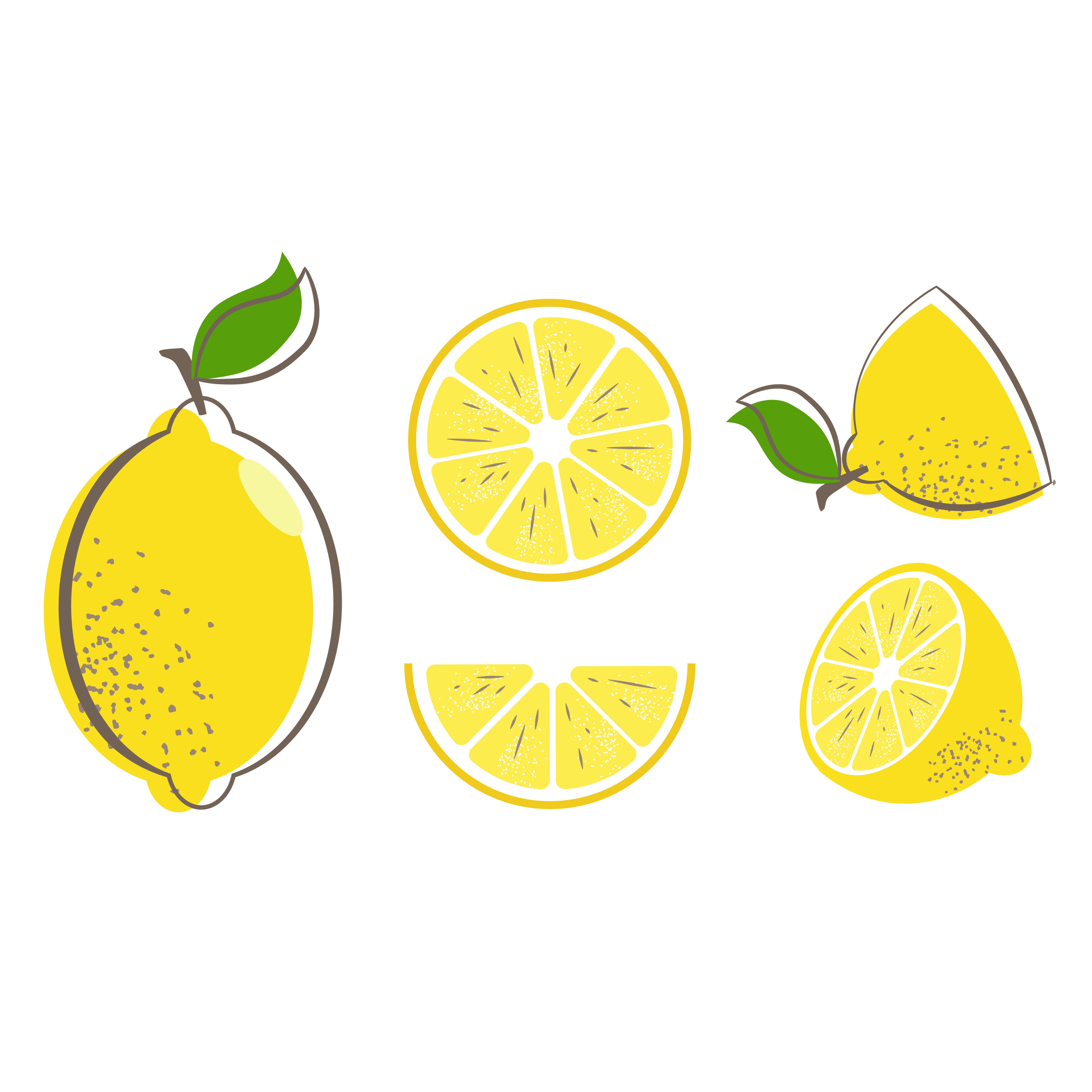 5674x5674 Pin On Lemon Illustration