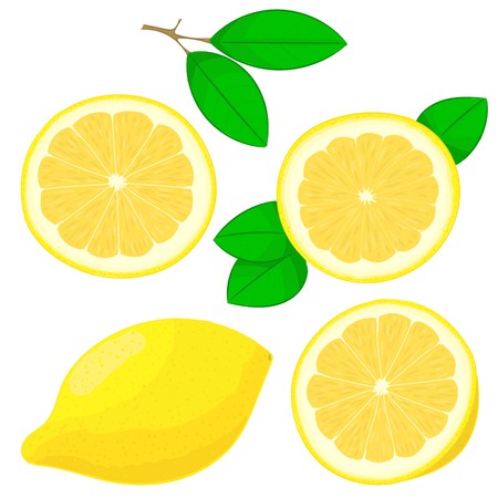 Lemon Vector Free at Vectorified.com | Collection of Lemon Vector Free ...