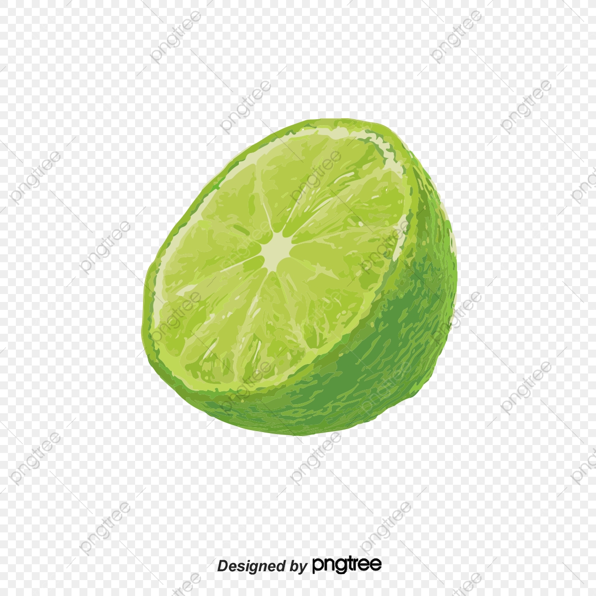 1200x1200 Watercolor Green Lemon Vector, Watercolor Vector, Green Vector