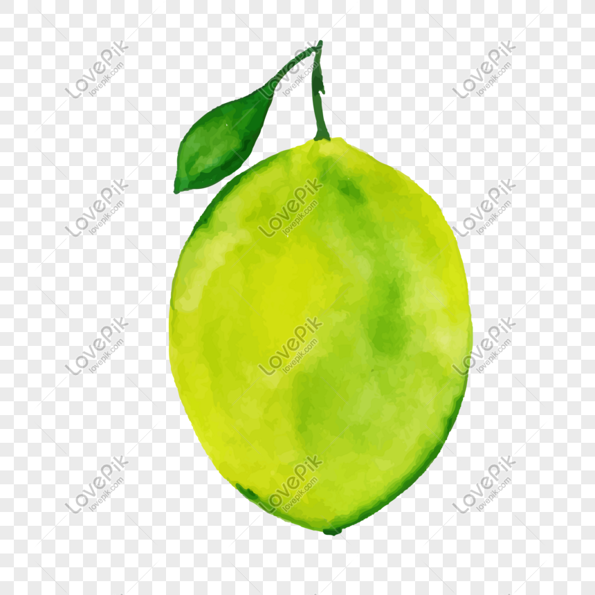 860x860 Watercolor Lemon Vector Material Png Image Picture Free Download