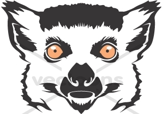 Lemur Head Illustration 320x224 Lemur Head Illustration