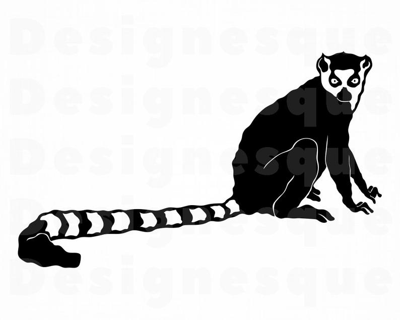Lemur Lemur Clipart Lemur For Cricut Lemur Cut Etsy 794x635 Lemur Lemur Clipart Lemur For Cricut Lemur Cut Etsy