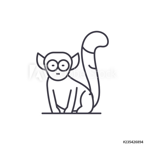 Lemur Line Icon Concept Lemur Vector Linear Illustration, Sign 500x500 Lemur Line Icon Concept Lemur Vector Linear Illustration, Sign