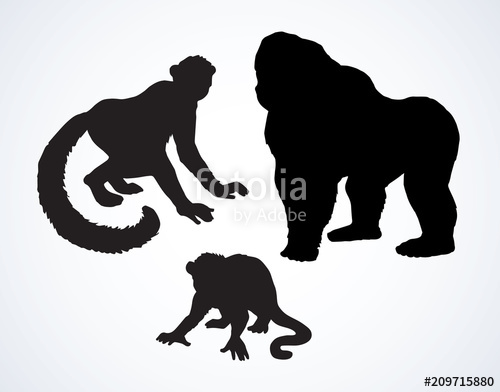 Lemur Vector Illustration Stock Image And Royalty Free Vector 500x392 Lemur Vector Illustration Stock Image And Royalty Free Vector