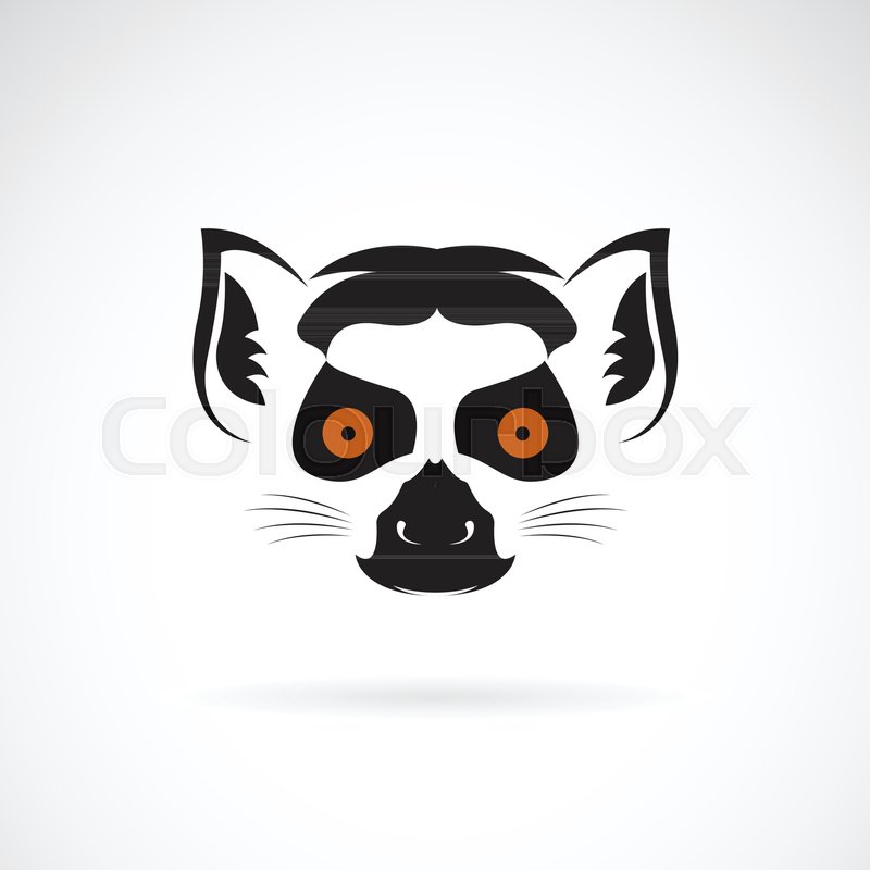 Vector Of Ring Tailed Lemur Head Stock Vector Colourbox 800x800 Vector Of Ring Tailed Lemur Head Stock Vector Colourbox