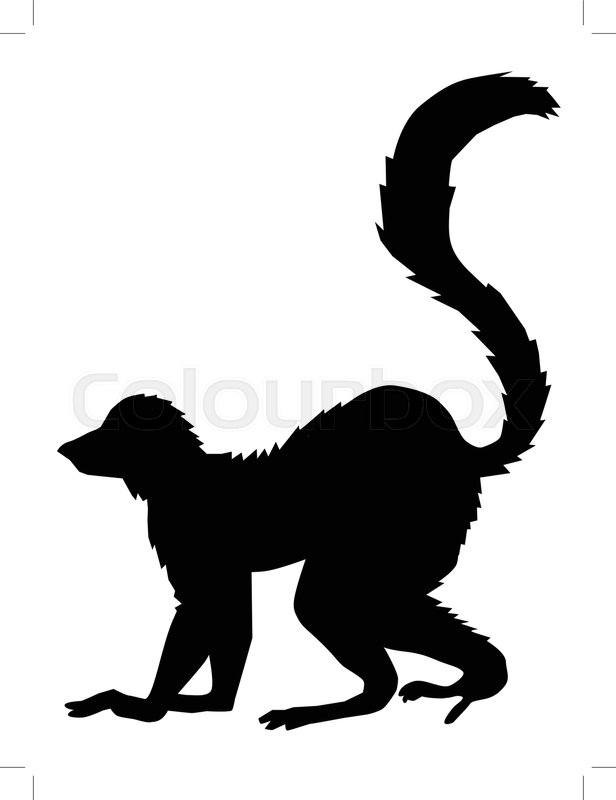 Vector Silhouette Of Lemur, Side View Stock Vector Colourbox 616x800 Vector Silhouette Of Lemur, Side View Stock Vector Colourbox