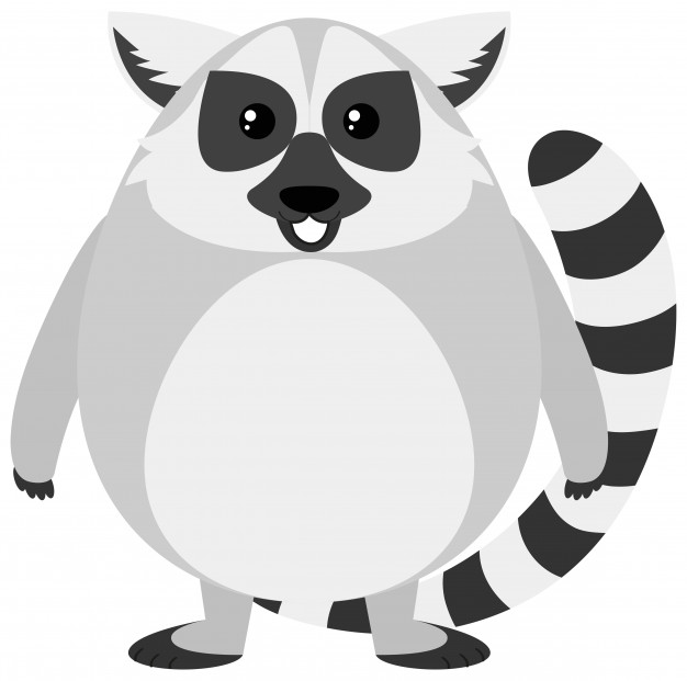 Cute Lemur Vector Free Download 626x621 Cute Lemur Vector Free Download