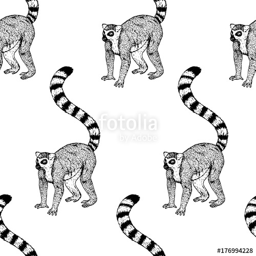 Hand Drawn Background With Lemur Vector Seamless Pattern Stock 500x500 Hand Drawn Background With Lemur Vector Seamless Pattern Stock