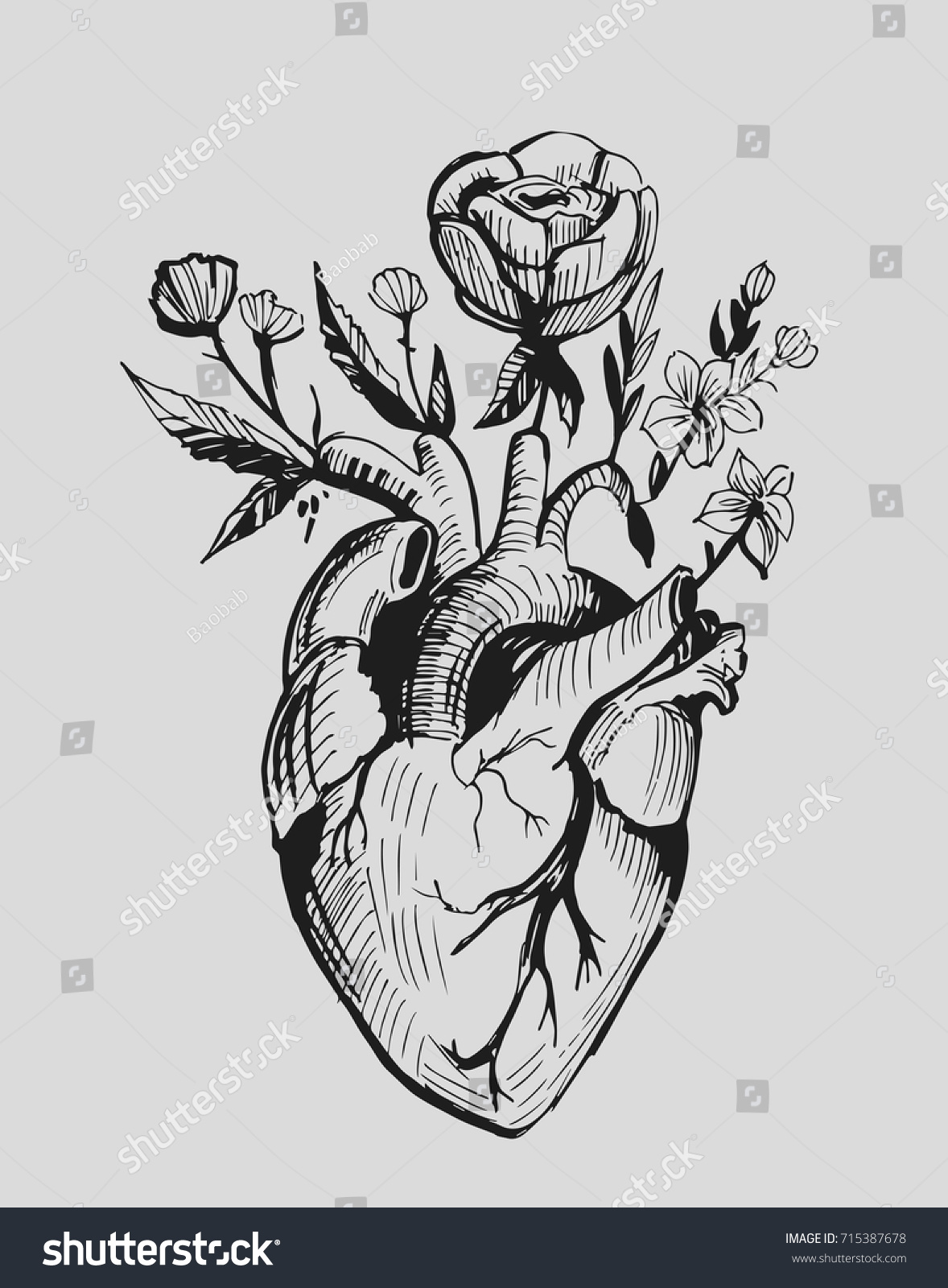 Leonardo Da Vinci Vector