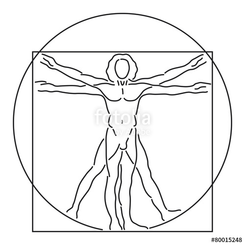 500x500 Leonardo Da Vinci Vitruvian Man, Human Anatomy, Vector Line Art