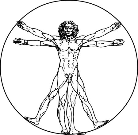 450x440 Leonardo Da Vinci's Vitruvian Man In Vector Royalty Free Vector
