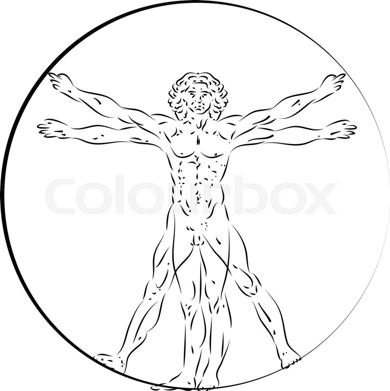 797x800 Leonardo Da Vinci Vitruvian Man Stock Vector Colourbox