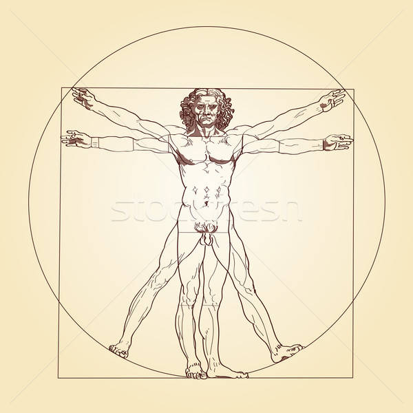600x600 Vitruvian Man Leonardo Da Vinci Vector Illustration Peter Hermes