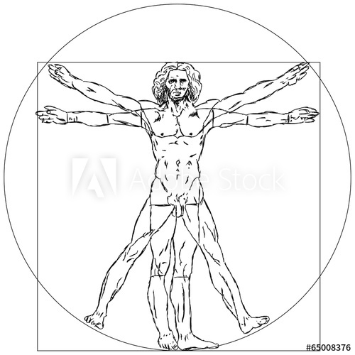 500x500 Vitruvianischer Mensch Leonardo Da Vinci Figur