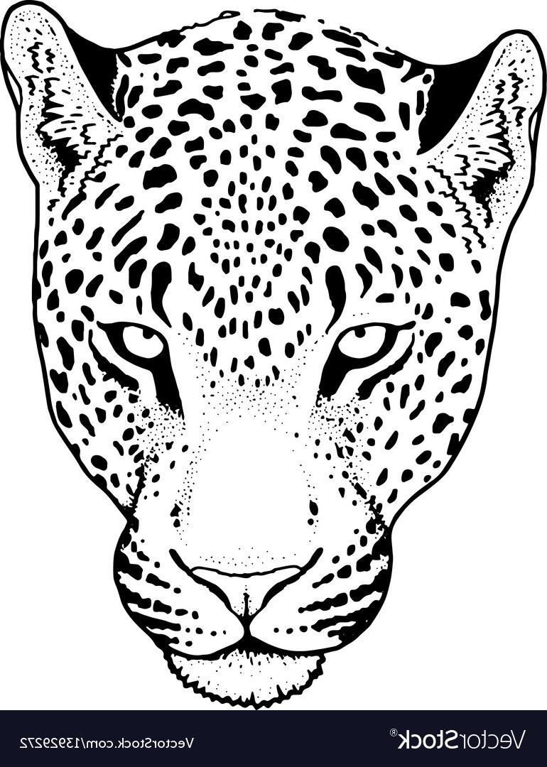 Hd Leopard Face Vector Cdr Free Vector Art, Images, Graphics 770x1080 Hd Leopard Face Vector Cdr Free Vector Art, Images, Graphics