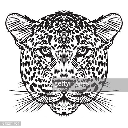 Leopard Face Vector at Vectorified.com | Collection of Leopard Face ...