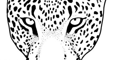 Leopard Face Vector Archives 367x195 Leopard Face Vector Archives