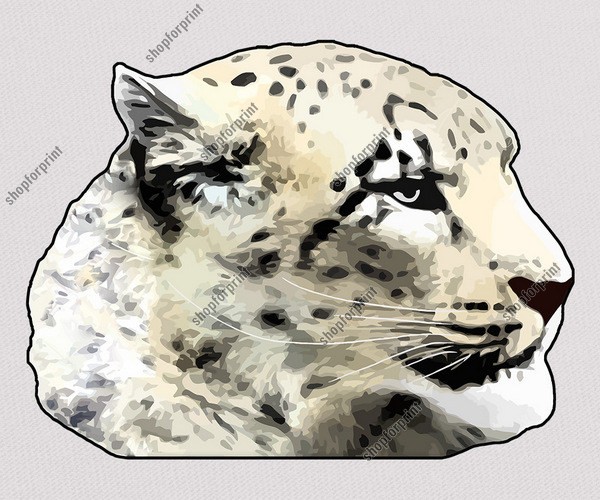 Leopard Face Vector Image 600x500 Leopard Face Vector Image