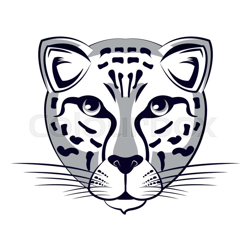 Leopard Face Cool Sketch In Black And Stock Vector Colourbox 800x800 Leopard Face Cool Sketch In Black And Stock Vector Colourbox