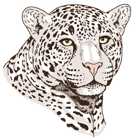 Leopard Face Tattoovector Illustration, Print Royalty Free 450x450 Leopard Face Tattoovector Illustration, Print Royalty Free