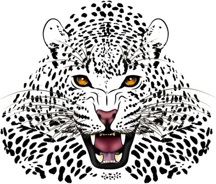 Leopard Free Vector Download 431x368 Leopard Free Vector Download