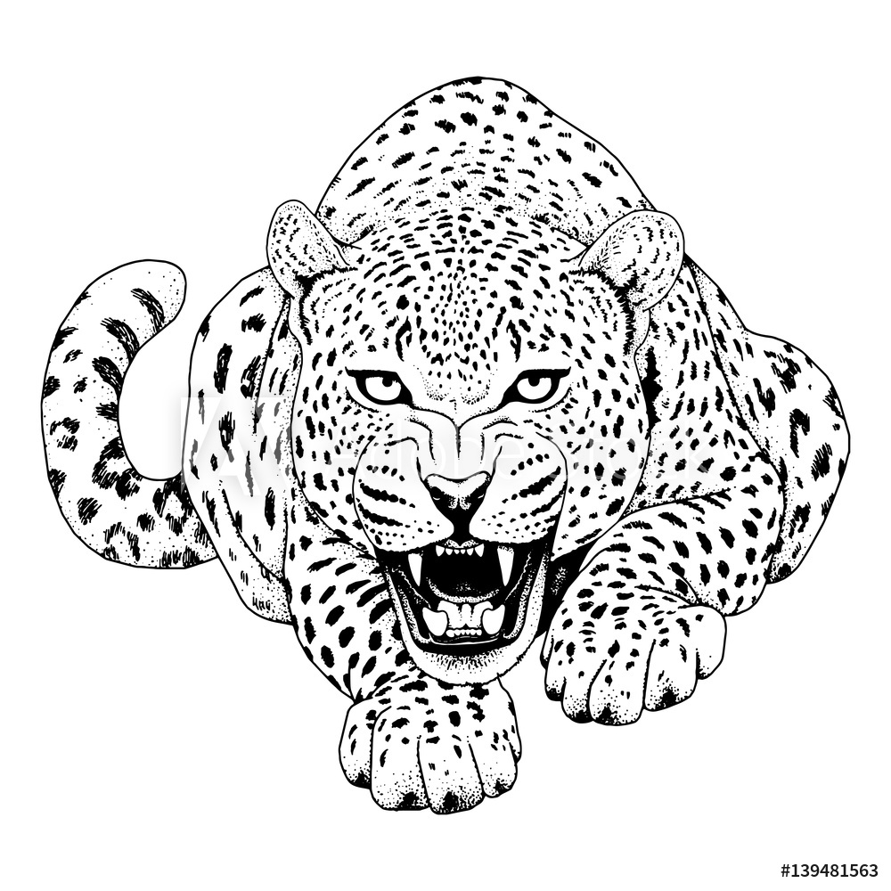 Photo Art Print Leopard Face Tattoovector Illustration, Print 1000x1000 Photo Art Print Leopard Face Tattoovector Illustration, Print